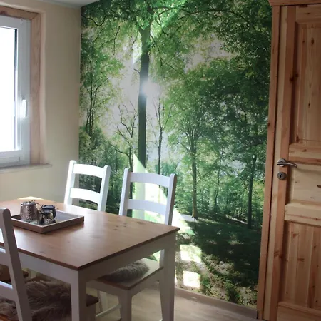 Vogelsang In Feldberg *