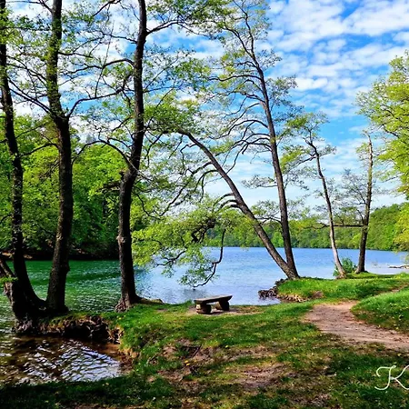 Vogelsang In Feldberg فيلدبرج